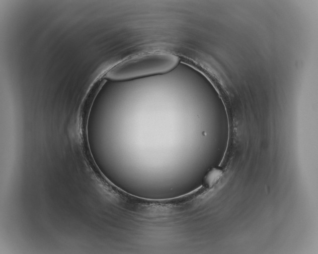 X0000113060981200909041034