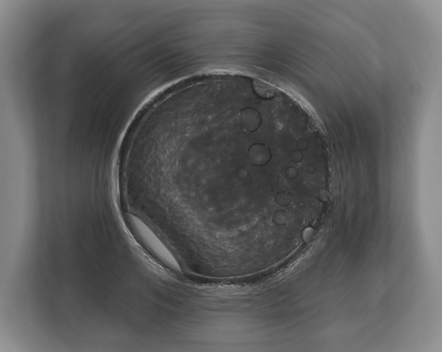 X0000113060984200909041034