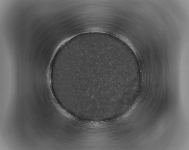X0000113060987200909041034