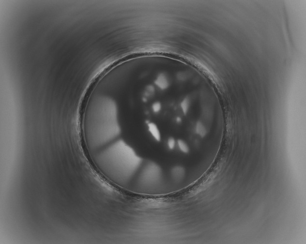 X0000113060990200909041034