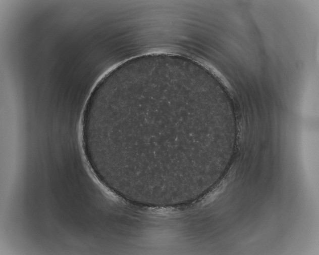 X0000113060991200909041034