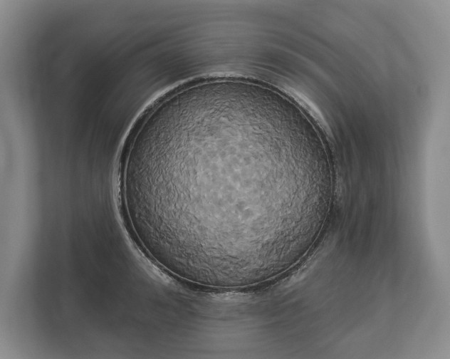 X0000113060992200909041034