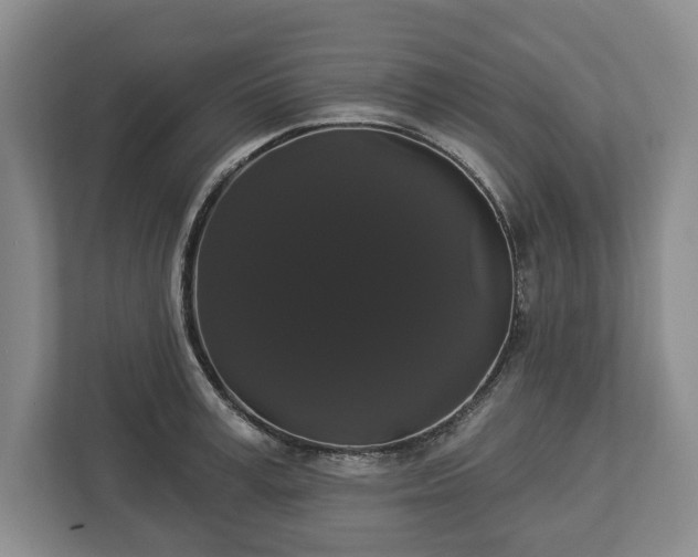 X0000113060995200909041034