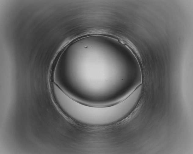X0000113060997200909041034