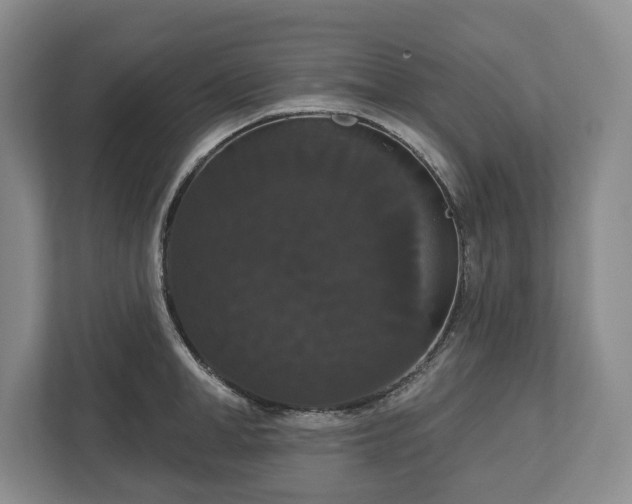 X0000113060998200909041034