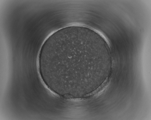 X0000113060999200909041034