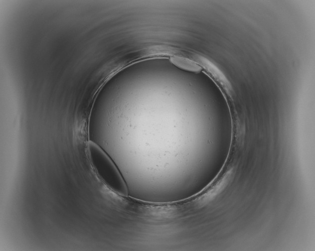 X0000113061001200909041034