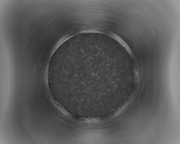 X0000113061002200909041034