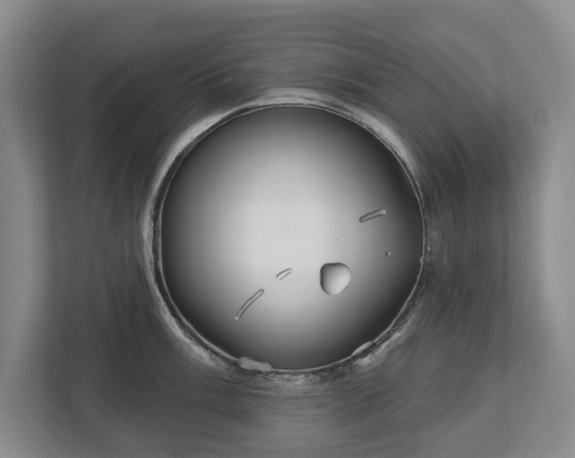 X0000113061003200909041034