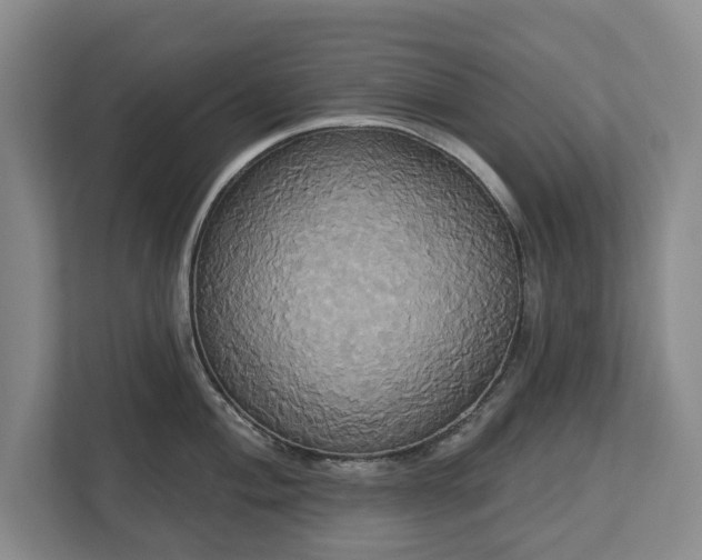 X0000113061004200909041034