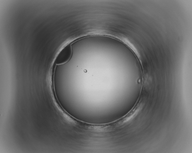 X0000113061005200909041034