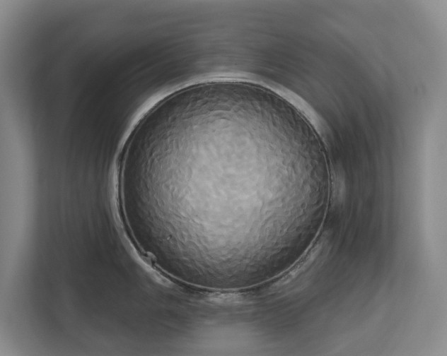 X0000113061006200909041034