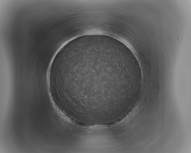 X0000113061008200909041034