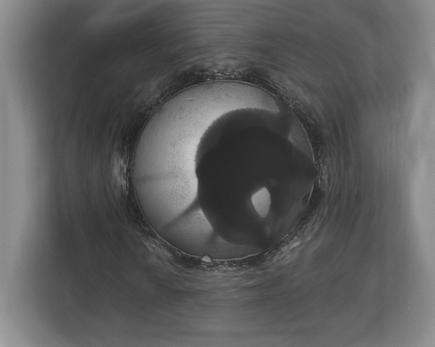 X0000113061010200909041033