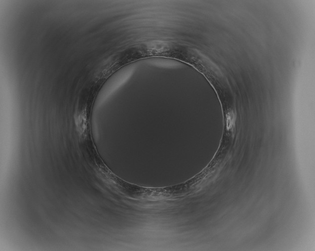 X0000113061011200909041033