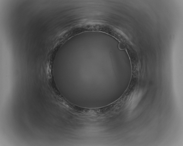 X0000113061013200909041033