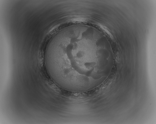 X0000113061015200909041033