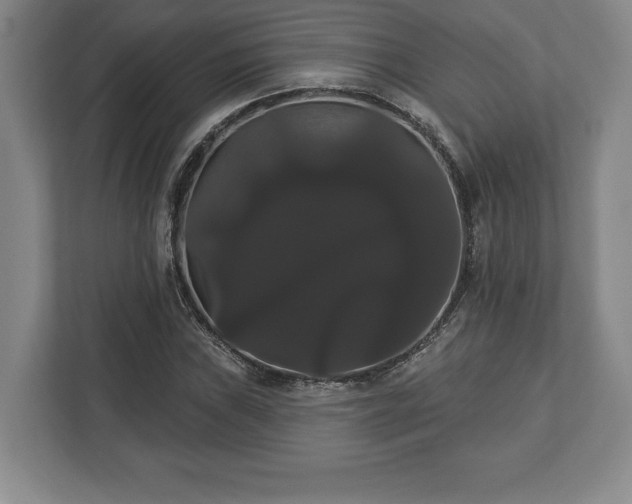 X0000113061019200909041033