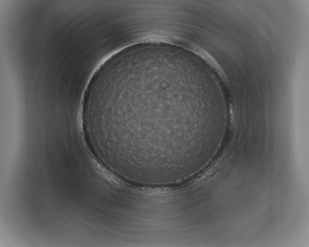 X0000113061020200909041033