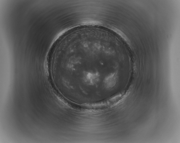 X0000113061022200909041033
