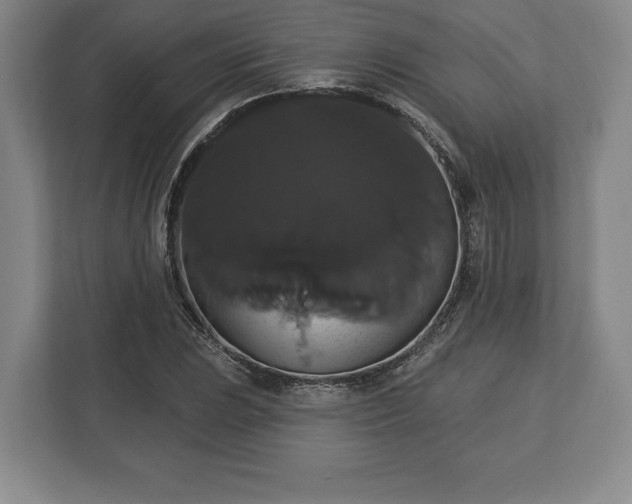 X0000113061023200909041033