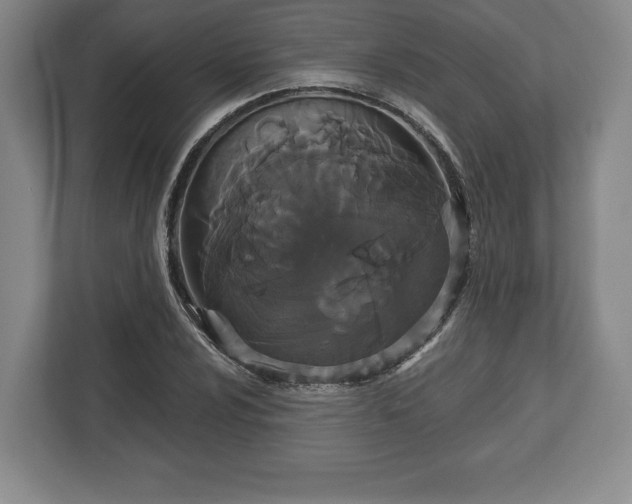 X0000113061024200909041033