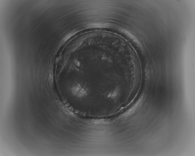 X0000113061025200909041033