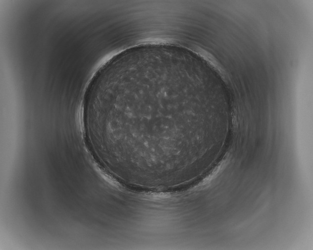 X0000113061030200909041034