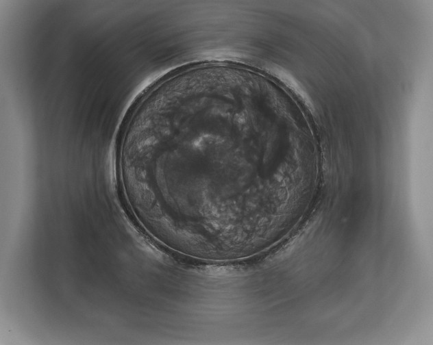 X0000113061032200909041034