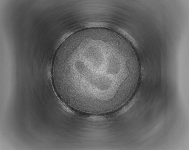 X0000113061033200909041034