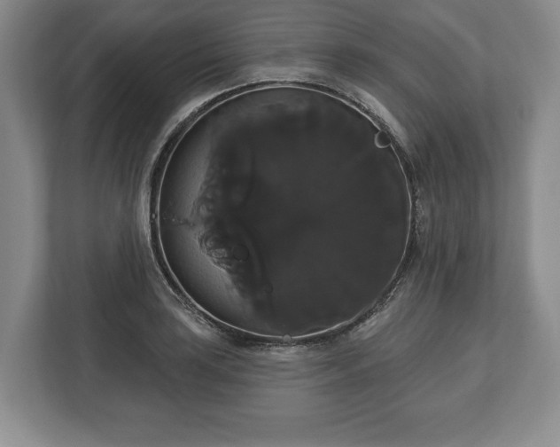 X0000113061035200909041034