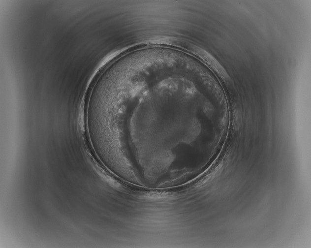 X0000113061036200909041034