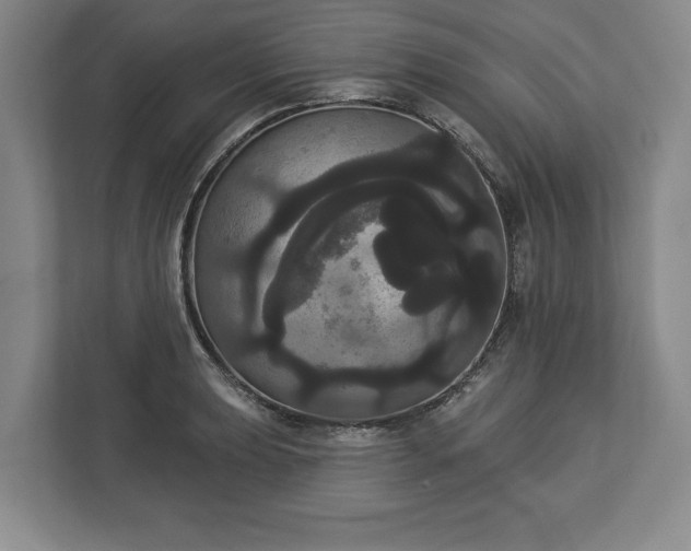 X0000113061039200909041034