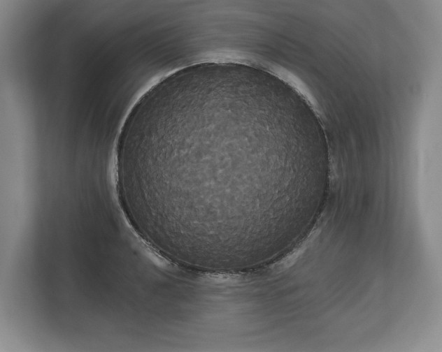 X0000113061040200909041034