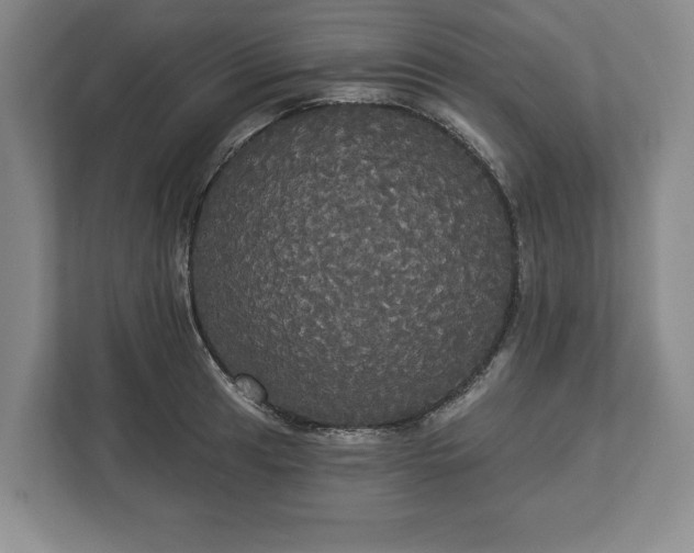 X0000113061041200909041034