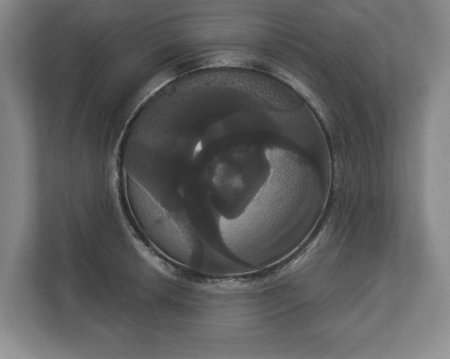 X0000113061042200909041034