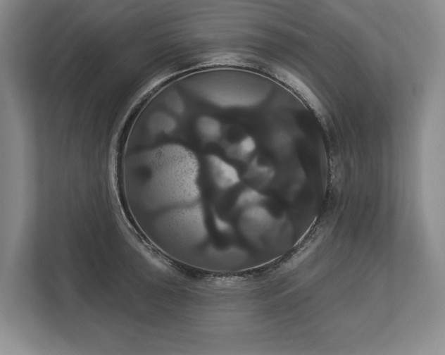 X0000113061043200909041034