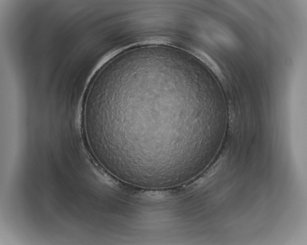X0000113061044200909041034