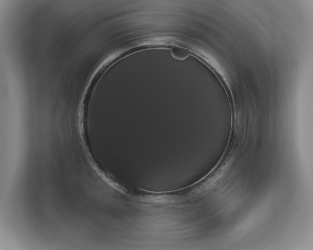 X0000113061045200909041034