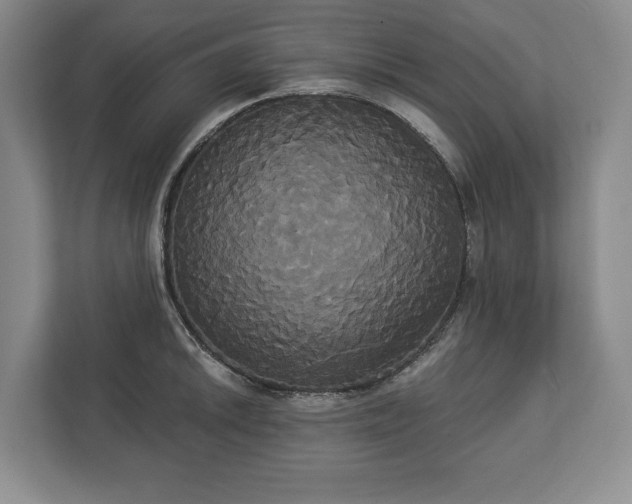 X0000113061046200909041034