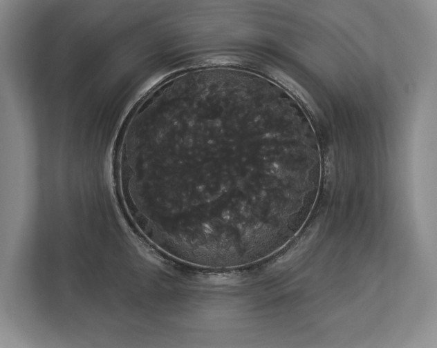 X0000113061047200909041034