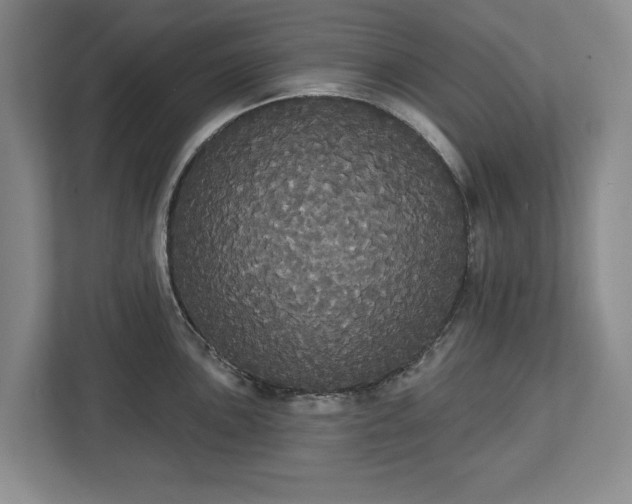 X0000113061051200909041034