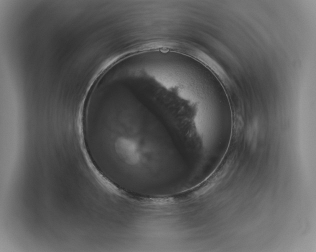 X0000113061055200909041034