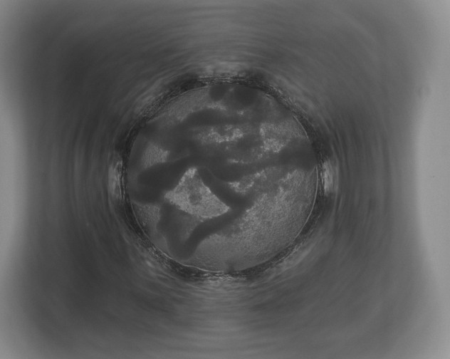 X0000113061059200909041033
