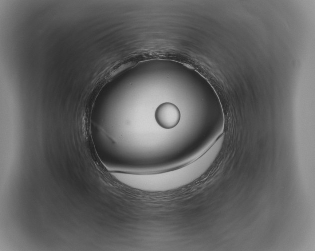 X0000113061060200909041033