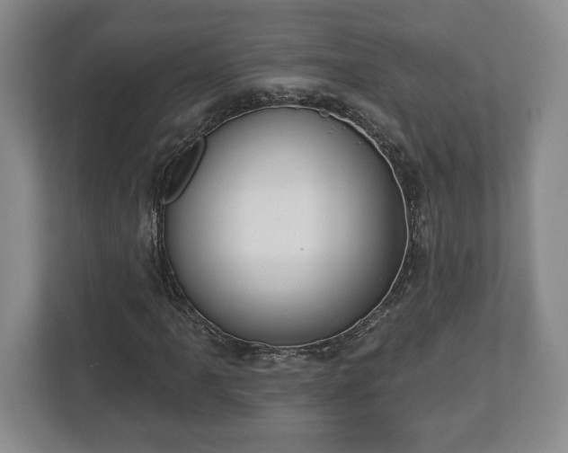 X0000113061061200909041033