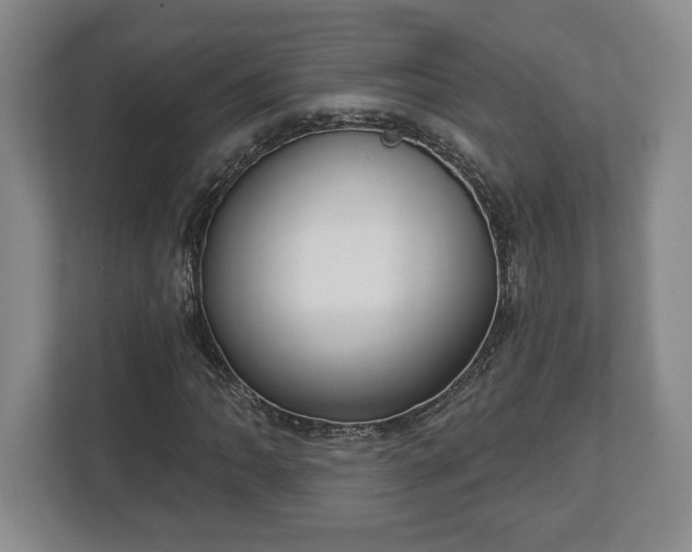 X0000113061062200909041033