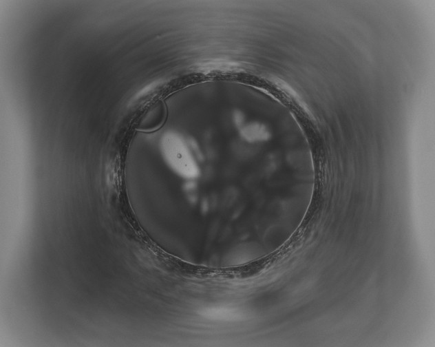 X0000113061063200909041033
