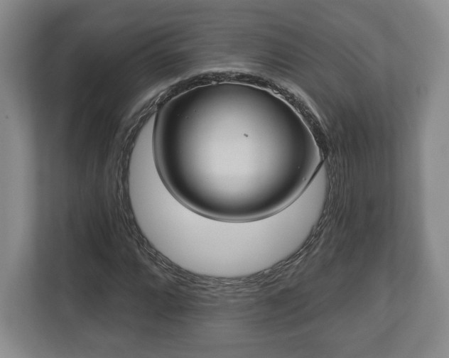 X0000113061064200909041033