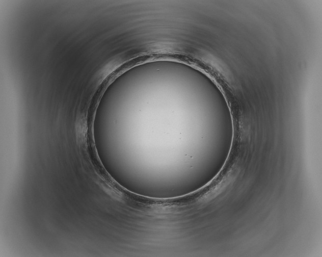 X0000113061065200909041033